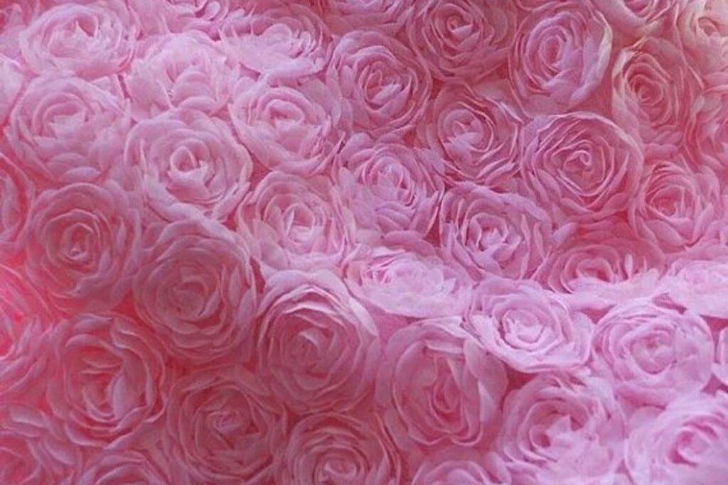 Fabric Fabric