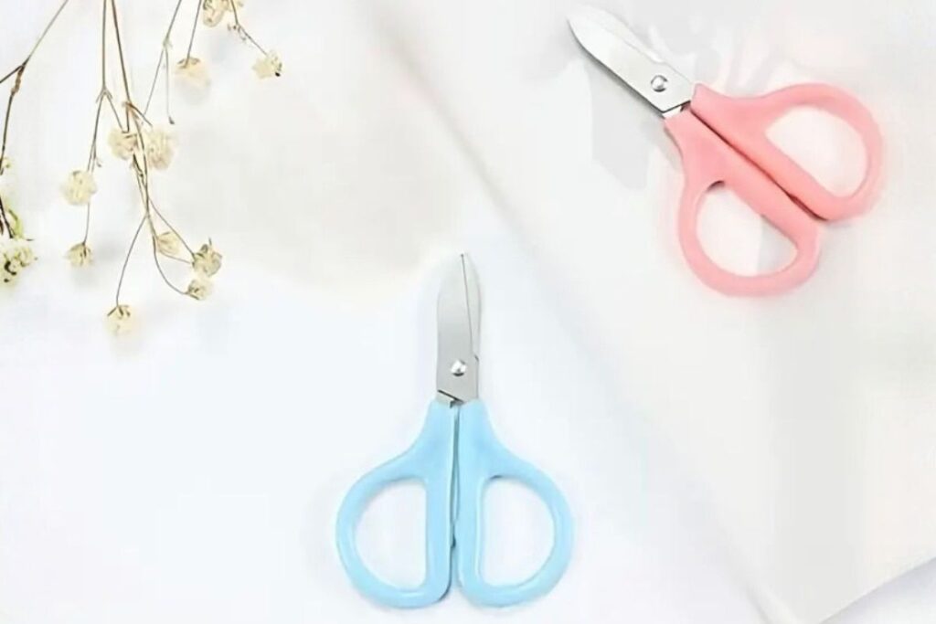 Small Scissors (2) Small Scissors
